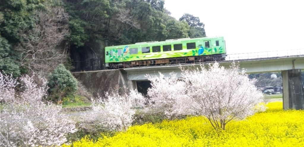 南北河内地区の風景 - 錦川清流線