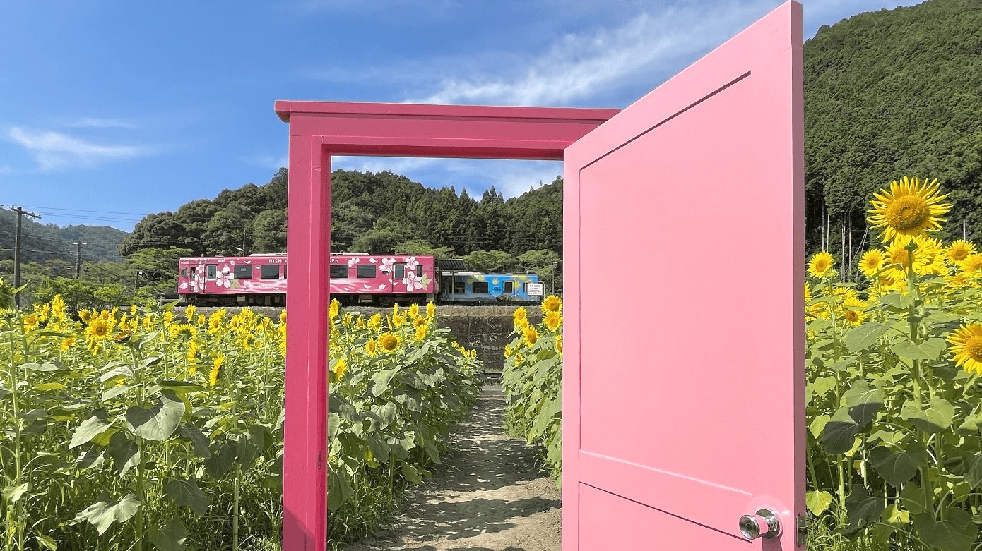 北河内地区の風景 - ひまわり畑と「どこでもドア」